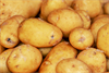 Kartoffeln (Erdäpfel)